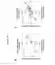 Fig. 10 - METHODS OF ISOLATING RNA AND MAPPING OF POLYADENYLATION ISOFORMS