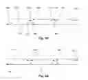 Fig. 04 - Method of amplifying a nucleic acid