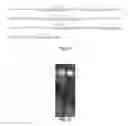 Fig. 13 - Method of amplifying a nucleic acid