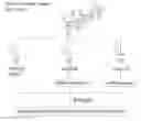 Fig. 01 - Saliva collection, processing, stabilization, and storage method