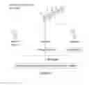 Fig. 02 - Saliva collection, processing, stabilization, and storage method