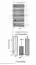 Fig. 11 - Saliva collection, processing, stabilization, and storage method