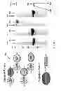 Fig. 41 - AFFINITY TAGS, AND RELATED AFFINITY LIGANDS, ENGINEERED PROTEINS, MODIFIED SUPPORTS, COMPOSITIONS, METHODS AND SYSTEMS