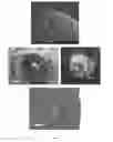 Fig. 06 - NANOSCALE COAXIAL ELECTRODE ARRAYS AND METHODS THEREOF