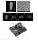 Fig. 07 - NANOSCALE COAXIAL ELECTRODE ARRAYS AND METHODS THEREOF