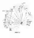 Fig. 03 - Methods and compositions for determining a graft tolerant phenotype in a subject