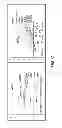 Fig. 07 - Methods and compositions for determining a graft tolerant phenotype in a subject
