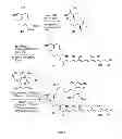 Fig. 04 - Structural variants of mycolactones for use in modulating inflammation, immunity and pain