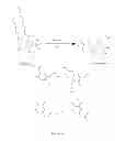 Fig. 28 - PHYTOPHTHORA PHOSPHOLIPASE C
