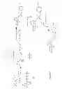 Fig. 30 - PHYTOPHTHORA PHOSPHOLIPASE C