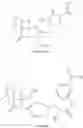 Fig. 06 - Pharmaceutical compositions and uses thereof