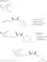Fig. 44 - Substituted cyclopropyl compounds useful as GPR119 agonists