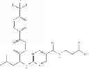 Fig. 24 - Glucagon receptor modulators