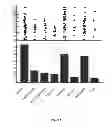Fig. 06 - NOVEL ANTIPRION COMPOUNDS