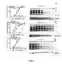 Fig. 10 - NOVEL ANTIPRION COMPOUNDS