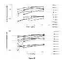 Fig. 23 - NOVEL ANTIPRION COMPOUNDS