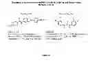Fig. 64 - NOVEL ANTIPRION COMPOUNDS