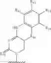 Fig. 16 - Oligomeric compounds and compositions for use in modulation of small non-coding RNAS