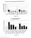 Fig. 14 - Pharmaceutical composition comprising anti-miRNA antisense oligonucleotides