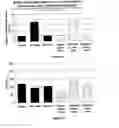 Fig. 18 - Pharmaceutical composition comprising anti-miRNA antisense oligonucleotides