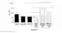 Fig. 19 - Pharmaceutical composition comprising anti-miRNA antisense oligonucleotides