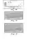 Fig. 06 - Compositions and methods for the intracellular disruption of VEGF and VEGFR-2 by intraceptors