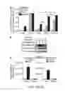 Fig. 03 - CYCLIC DI-NUCLEOTIDE INDUCTION OF TYPE I INTERFERON