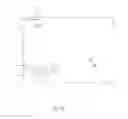 Fig. 12 - CYCLIC DI-NUCLEOTIDE INDUCTION OF TYPE I INTERFERON