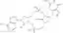 Fig. 16 - CYCLIC DI-NUCLEOTIDE INDUCTION OF TYPE I INTERFERON