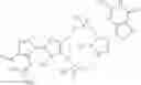 Fig. 24 - CYCLIC DI-NUCLEOTIDE INDUCTION OF TYPE I INTERFERON