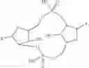 Fig. 34 - CYCLIC DI-NUCLEOTIDE INDUCTION OF TYPE I INTERFERON