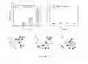 Fig. 05 - ADMINISTRATION OF A BIS(THIOHYDRAZIDE AMIDE) COMPOUND FOR TREATING CANCERS