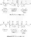 Fig. 06 - THERAPEUTIC COMPOSITIONS