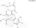 Fig. 02 - Oligomer-cannabinoid conjugates
