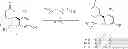 Fig. 45 - Oligomer-cannabinoid conjugates