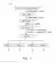 Fig. 02 - Composition for treating influenza A (HN) virus and a preparation method therefor