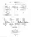 Fig. 06 - Composition for treating influenza A (HN) virus and a preparation method therefor