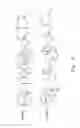 Fig. 08 - Composition for treating influenza A (HN) virus and a preparation method therefor