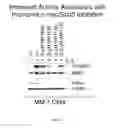 Fig. 08 - Compounds for treatment of cell proliferative diseases