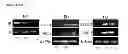 Fig. 10 - Predictive marker of DNMT1 inhibitor therapeutic efficacy and methods of using the marker