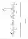 Fig. 03 - Substrate-independent layer-by-layer assembly using catechol-functionalized polymers