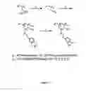 Fig. 04 - Substrate-independent layer-by-layer assembly using catechol-functionalized polymers