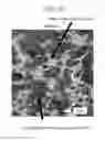 Fig. 10 - Plant derived plastic blend and a method of manufacturing the same