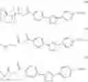 Fig. 81 - PREPARATION OF MICAFUNGIN INTERMEDIATES