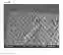 Fig. 16 - Porous tissue scaffolds
