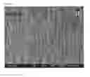 Fig. 20 - Porous tissue scaffolds