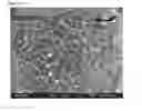 Fig. 25 - Porous tissue scaffolds
