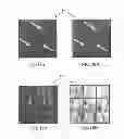 Fig. 42 - Foam-formed collagen strand