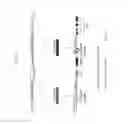 Fig. 07 - Tissue specific expression of antibodies in chickens