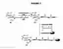 Fig. 08 - Methods for making saccharide-protein glycoconjugates